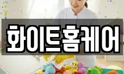 제주특별자치도 서귀포시 동홍동 청소,입주청소,사무실청소,에어컨청소