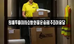 제주특별자치도 서귀포시 보목동 이사,용달이사,포장이사,원룸이사,보관이사