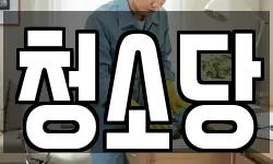 청소당