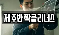 제주반짝클리너스