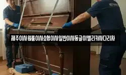제주이사원룸이사소형이사일반이사동글이엘리카사다리차