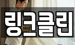 링크클린