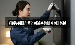 원룸투룸이사소형화물운송제주조아용달
