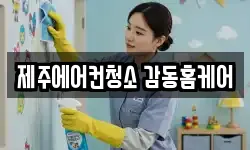 제주특별자치도 서귀포시 성산읍 청소,입주청소,사무실청소,에어컨청소