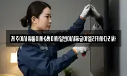 제주이사원룸이사소형이사일반이사동글이엘리카사다리차