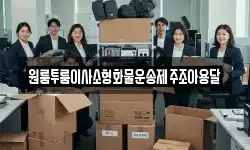 원룸투룸이사소형화물운송제주조아용달