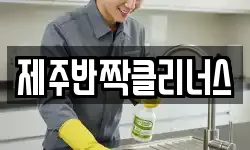 제주반짝클리너스
