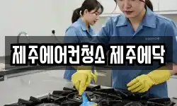 제주에어컨청소 제주에닥