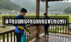 제주청소업체입주청소이사청소계단청소센터