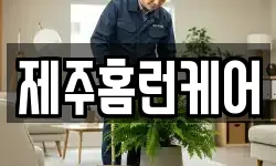 제주홈런케어