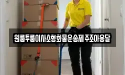 원룸투룸이사소형화물운송제주조아용달