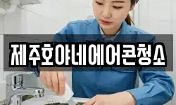 제주호야네에어콘청소
