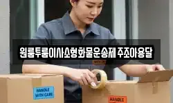 원룸투룸이사소형화물운송제주조아용달