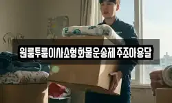 원룸투룸이사소형화물운송제주조아용달