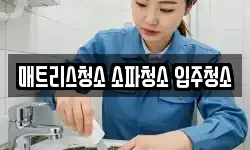 매트리스청소 소파청소 입주청소