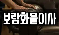 보람화물이사
