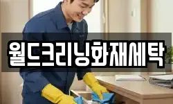 월드크리닝화재세탁