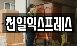 천일익스프레스