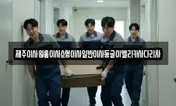 제주이사원룸이사소형이사일반이사동글이엘리카사다리차
