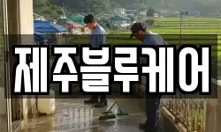 제주블루케어