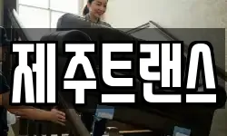 제주트랜스