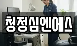 청정심엔에스