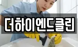 더하이엔드클린