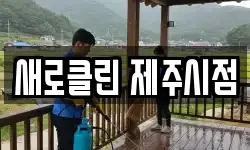 새로클린 제주시점