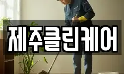 제주클린케어