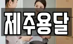 제주용달