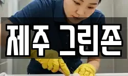 제주 그린존