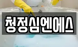청정심엔에스