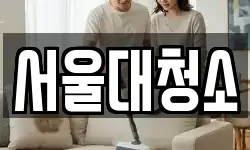 서울대청소