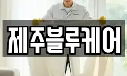 제주블루케어
