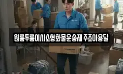 원룸투룸이사소형화물운송제주조아용달