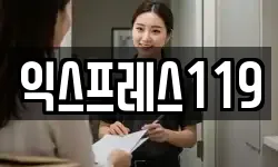 익스프레스119