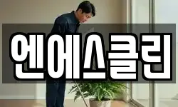 엔에스클린