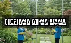 매트리스청소 소파청소 입주청소