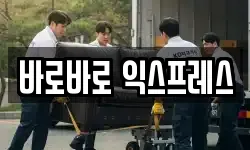 바로바로 익스프레스