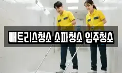 매트리스청소 소파청소 입주청소