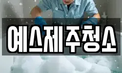 예스제주청소