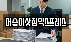 머슴이삿짐익스프레스