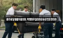제주용달원룸투룸이사,학생사무실이사운송운반포장이사