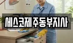 세스코제주동부지사