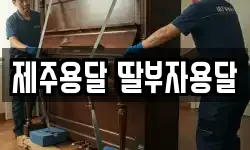 제주용달 딸부자용달
