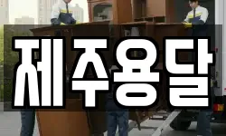 제주용달