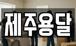 제주용달