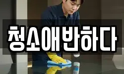 청소애반하다