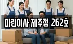 파란이사 제주점 262호