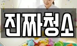 진짜청소